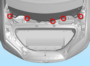 Panel - Cowl Screen (Remove and Replace)